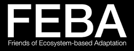 FEBA logo