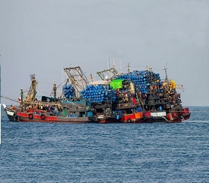 Industrial fishing trawlers stocking up on unsustainable quantities of fish. Credit: Shutterstock