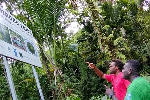 Credit- UNDP Solomon Islands