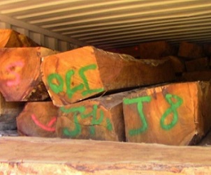 Rosewood logs ready for export. Credit - https://dailypost.vu/news/