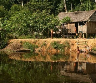 This photograph, taken in the Médio Juruá region of Amazonas State, Brazil. shows the houses of forest-proximate people living in sustainable development reserves in Amazonia. Credit: Peter Newton, University of Colorado Boulder