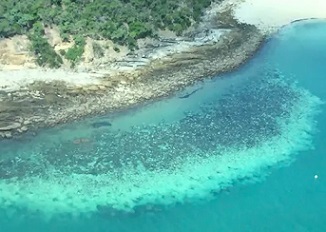 For the first time, severe bleaching has struck all three regions of the Great Barrier Reef. ARC Centre of Excellence for Coral Reef Studies
