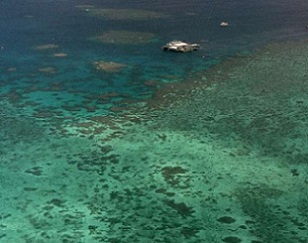 Agincourt Reef, located about 30 miles off the coast near the northern reaches of the Great Barrier Reef. Credit - AP Photo/Randy Bergman, File