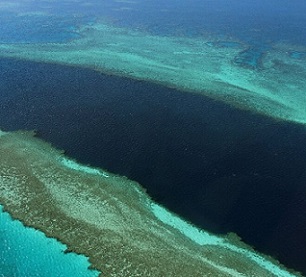 The Great Barrier Reef is the world's largest living structure. Credit - www.phys.org