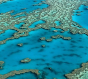 Great Barrier Reef, Australia. source - https://www.zmescience.com