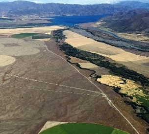 Cleared circles of land at Bendrose Farm, formerly a crown pastoral lease near Twizel, show the greening of the Mackenzie Basin in progress, Forest & Bird says. Photo - supplied