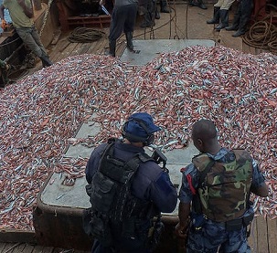 U.S. Coast Guard officials and a Ghanaian Navy sailor inspect a fishing vessel suspected of illegal fishing. Image courtesy of the U.S. Navy/Kwabena Akuamoah-Boateng.