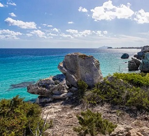 Arcipelago Toscano national park is one of two new Italian green-list sites. Its seven Mediterranean islands are rich with endemic flowers. Photograph: Archivio Parco Nazionale Arcipelago Toscano/IUCN