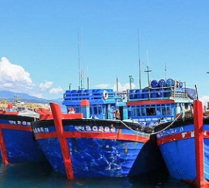 Three Vietnamese blue boats moored at a Solomon Islands wharf for illegal fishing, March 2017. Non-compliance with licence conditions is a greater source of IUU fishing than illegal fishing. Photo: Pacific Guardians.