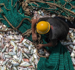 Fisherman on board a Chinese fishing boat hauling the net. Image © Pierre Gleizes / Greenpeace.