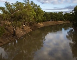 Griffith University researchers say the amount of water held by Indigenous organisations has fallen by 17% over 10 years. The Darling Barka river at Louth after the arrival of a flow of water from upstream. Photograph: Jenny Evans/Getty Images