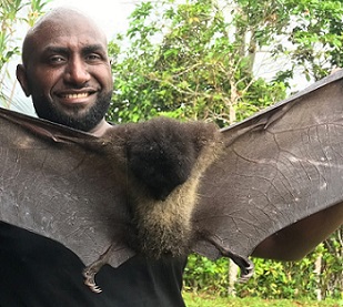 Junior Novera, a conservation scientist, is working with his community in Papua New Guinea to protect imperiled Bougainville monkey-faced bats and other local species. Photo courtesy of Salit Kark