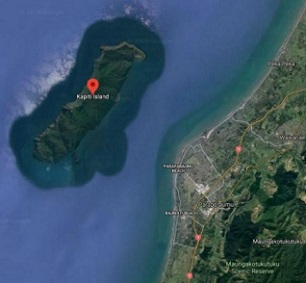 Kapiti Island, New Zealand. Credit - Google Maps
