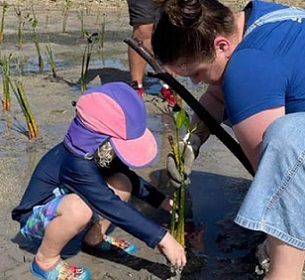 A child helps volunteers and other counter parts plant mangroves at Sopu, Nuku'alofa, Tonga. 12 August 2023. Photo: Australia in Tonga.