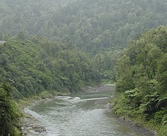 Waioeka Gorge in the Ruatāhunas. Photo by Peter Richardson.