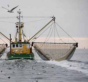 Through disturbing the sediment on the sea floor - the world's largest carbon sink - bottom trawling is thought to release a similar amount of carbon dioxide into the atmosphere as the aviation industryg. Credit - https://thefishsite.com/