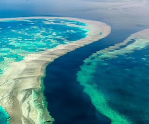Australia's marine (un)protected areas: government zoning bias has left marine life in peril since 2012. Credit - https://menafn.com/