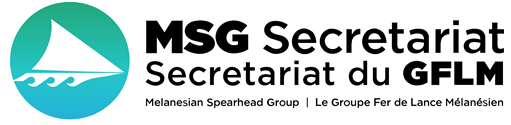 MSG Secretariat logo