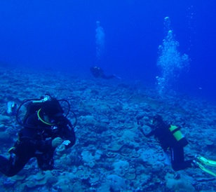 A Marae Moana research team pictured during their survey of a Mitiaro coral reef in 2013. Credit - www.cookislandsnews.com 