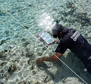 A fisheries officer counts giant clams (paua) during two-and-a-half-week expedition to Manuae and Aitutaki. MMR/21041908
