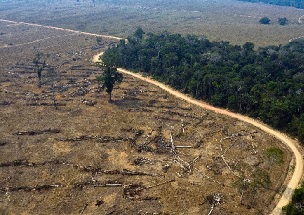 Human activity has already severely degrated three quarters of land on Earth. Source - Phys.org