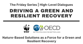 Webinar - Nature-Based Solutions as a Force for a Green and Resilient Recovery