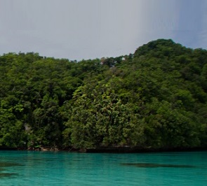 Ngeanges Island, Palau. Credit - https://www.islandconservation.org
