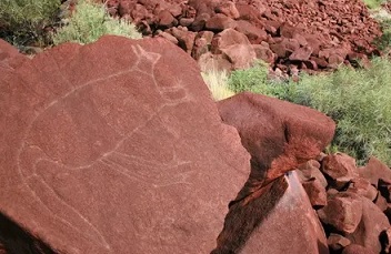 Rock engravings at Burrup Peninsula in Western Australia part part of the Murujuga cultural landscape and the country’s largest collection of rock art. Photograph: Ken Mulvaney