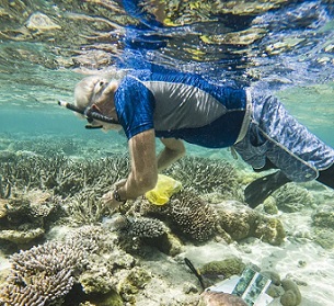Stanford Professor and PICRC Continue Study of Heat Tolerant Corals in Palau. Credit - PICRC
