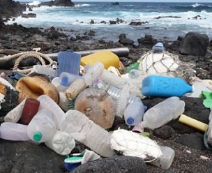Ascension Island in the South Atlantic Ocean is yet another remote island littered in plastic waste. Credit: Marcus Eriksen