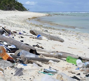 Discarded plastics washes up on the Cocos Keeling Islands, Australia.(Supplied: Silke Stuckenbrock)