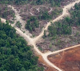 Logging roads in Papua New Guinea’s East New Britain Province. Since the introduction of SABLs in 1996, more than 5 million hectares (12 million acres) of virgin forest have been logged. Image by Paul Hilton/Greenpeace.