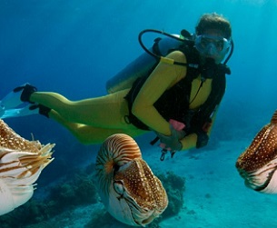 Around 20% of Palau’s workforce is employed in the tourism sector. (Image: J.W.Alker / Alamy)