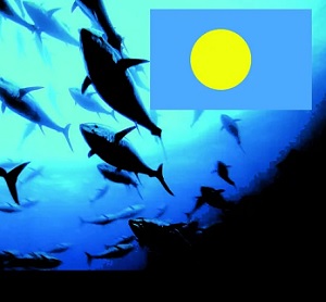 Palau national marine sanctuary. Source - https://islandtimes.org/