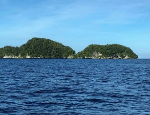 Palau is a small Pacific-island nation that sits 930 miles east of the Philippines CREDIT: MIKHAIL FLORES /AFP