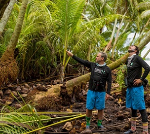 Nick Holmes (left) and Alex Wegmann (right), scientists with the Nature Conservancy, look for seabirds after volunteers have cut down and poisoned palms. Photo - DANA EDMUNDS