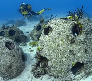 Reef balls can attract a host of marine life to largely barren seabed. One near Florida is now home to 56 species of fish, as well as crabs, sea urchins, sponges and coral. Photograph: agefotostock/Alamy