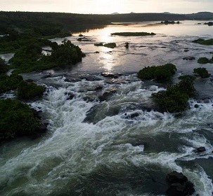 Rivers are key to restoring the world’s biodiversity. Credit - Eli Reichman