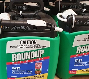 Glyphosate is the key ingredient in Roundup, which is one the biggest selling weedkillers in the world.(ABC Far North: Phil Brandel)