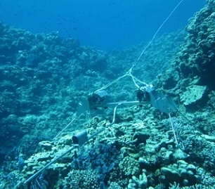 Cameras deployed across Rowley Shoals capture changes to the reefs across time. Photograph: Matt Birt BRUV