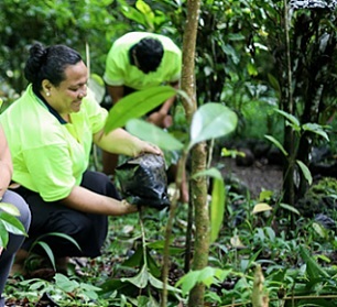 M.N.R.E staff planting trees on World Earth Day (Photo: Aufa'i Areta Areta)