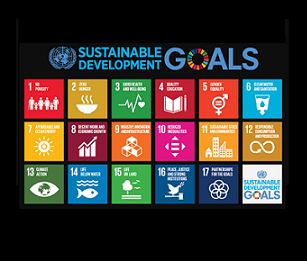 UN Sustainable Development Goals. Credit - UN