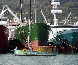 In Seychelles, artisanal and industrial fisheries coexist. Credit: IRD - Thibaut Vergoz