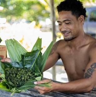 A man wraps freshly cleaned limu and sea grapes in a village on Savaii island in Samoa. Credit - Ulusapeti Tiitii 