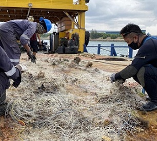 Volunteers worked with the Maritime and Port Authority of Singapore to retrieve a drift net on May 21 that likely caused the death of an endangered hawksbill turtle. PHOTO: OUR SINGAPORE REEFS