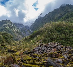 significant natural areas, New Zealand. Credit - 123RF