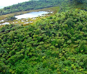Savaii upland forest crater. Credit - Paul Anderson, SPREP