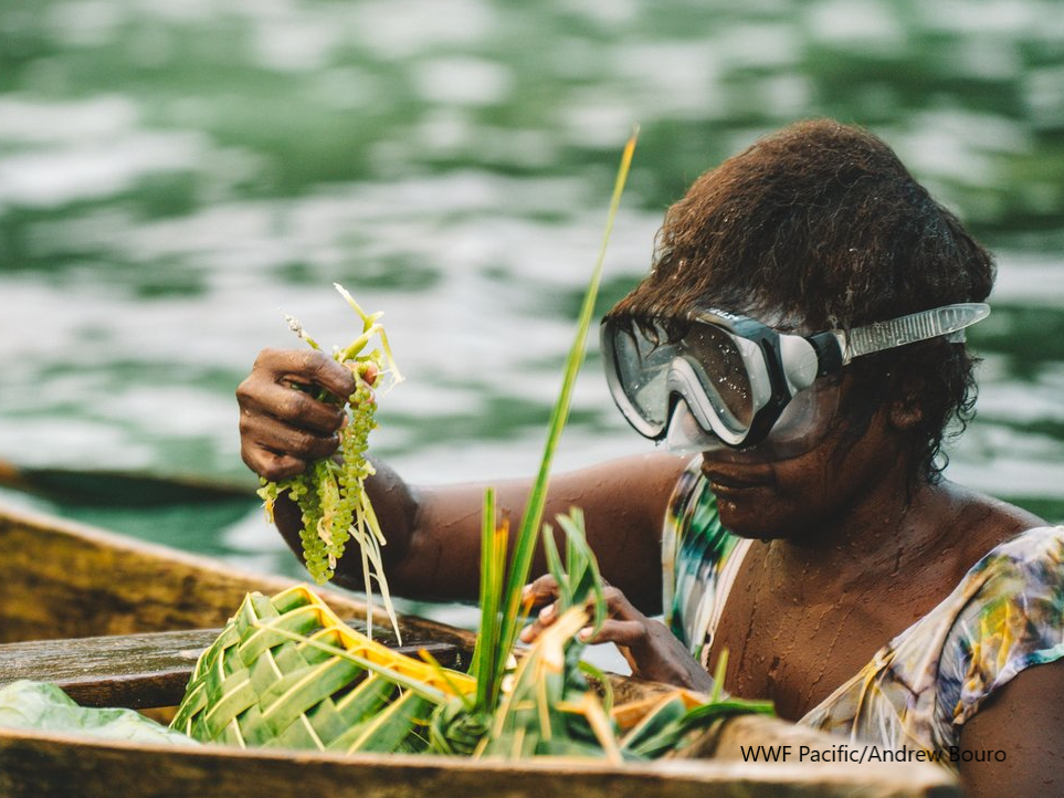 Sea grapes