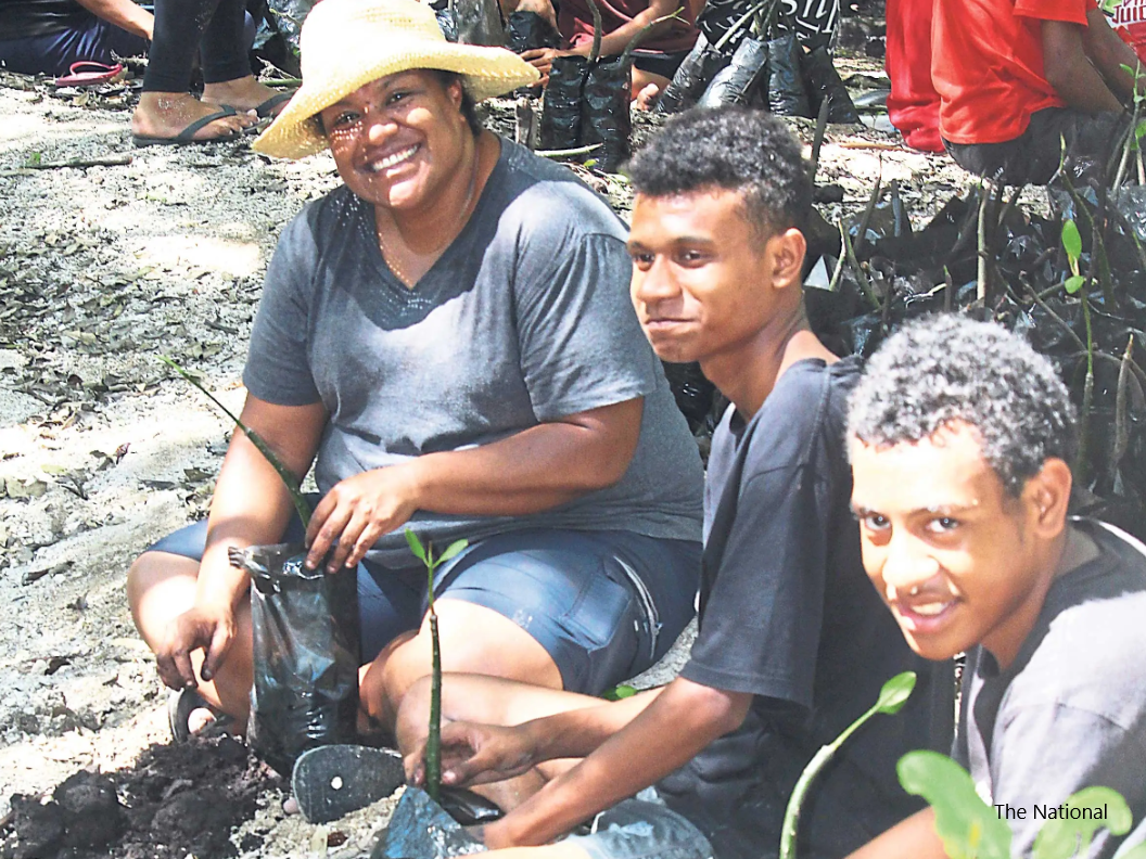 Mangrove restoration