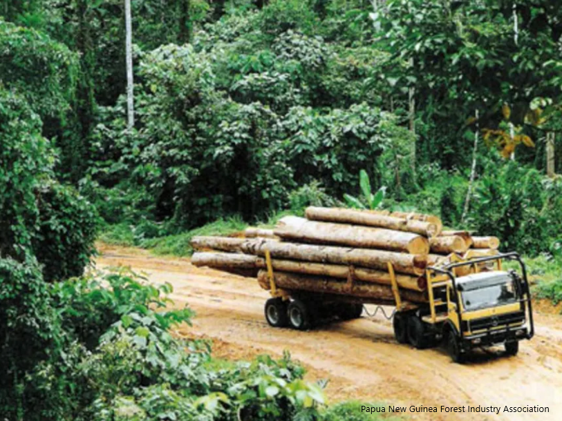 PNG Forests